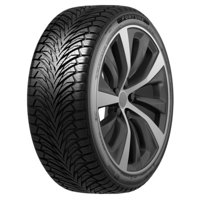 Шина Fortune Fitclime FSR-401 185/65 R14 86H